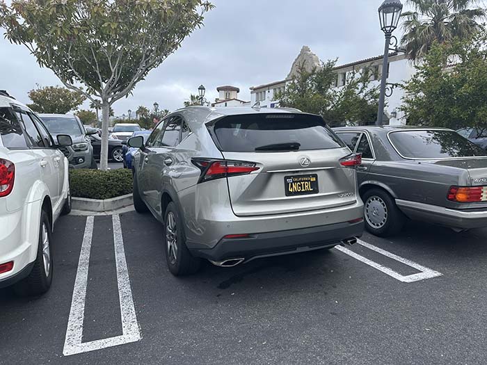 4NGIRL vanity license plate meaning Foreign  Girl