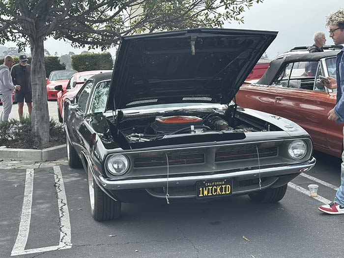 1WICKID vanity license plate meaning One Wicked (Mustang)