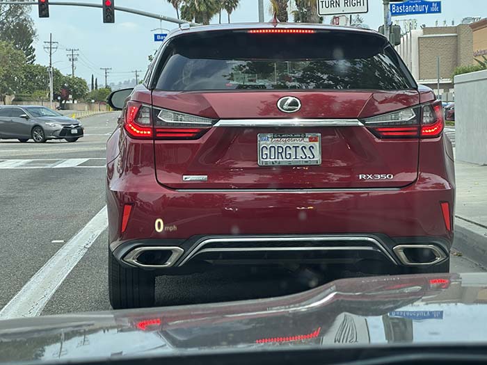 GORGISS vanity license plate meaning Gorgeous