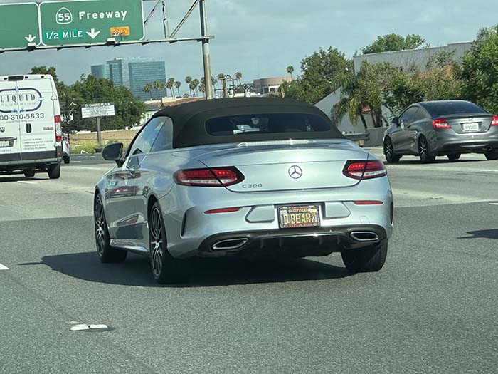 DBEARZ vanity license plate