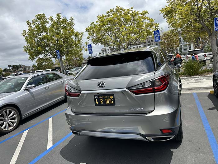 4RDOG vanity license plate meaning For Our Dog