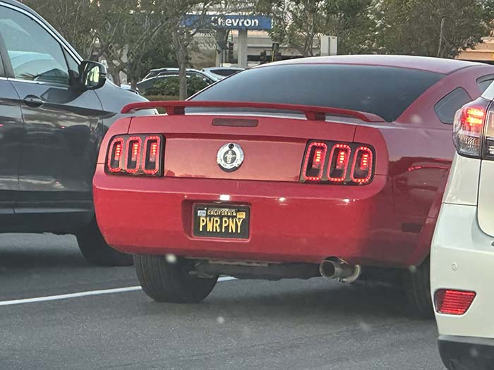 PWRPNY vanity license plate meaning Power Pony (Mustang)