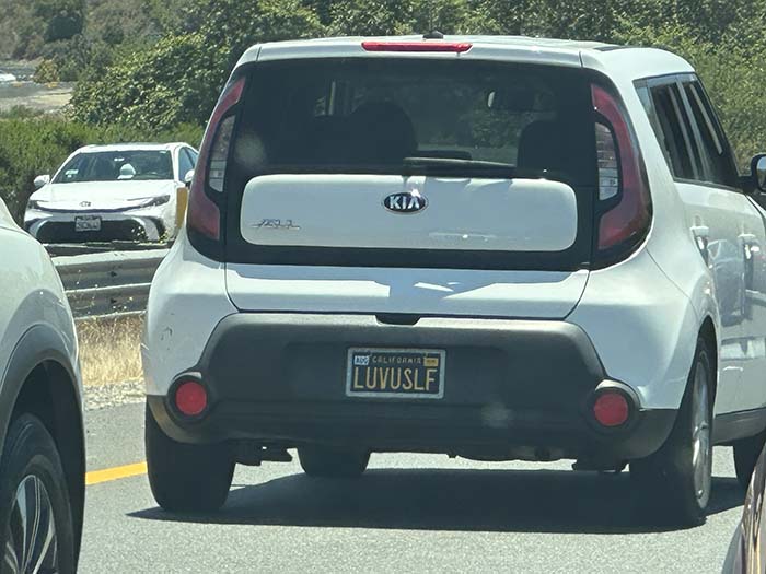 LUVUSLF vanity license plate meaning Love Yourself