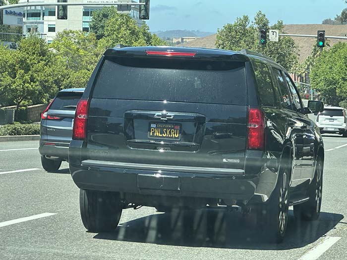 PNLSCRU vanity license plate