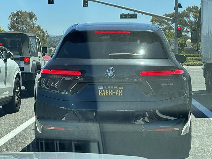 BABBEAR vanity license plate meaning Loser