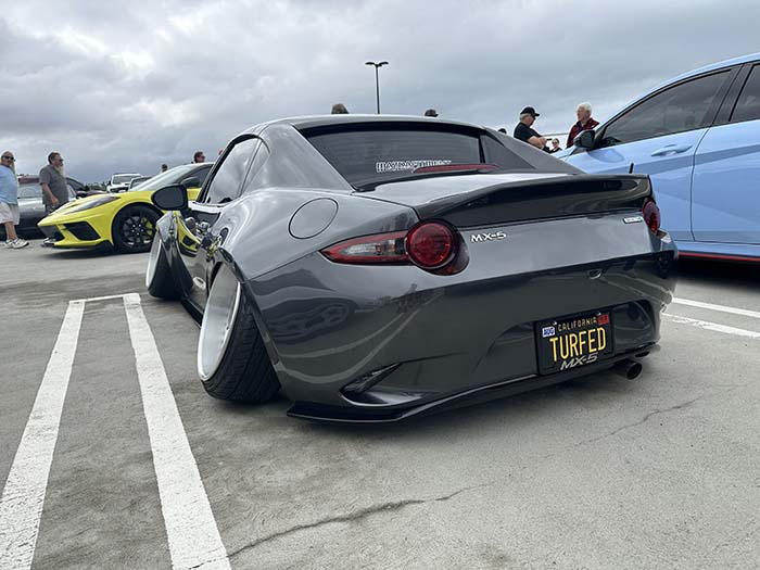 TURFED vanity license plate meaning Turfed