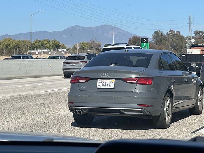 STRAYKT vanity license plate meaning Stray Cat