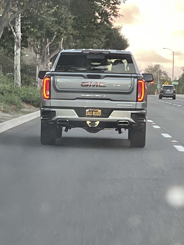 DADBODD vanity license plate meaning Dad Body