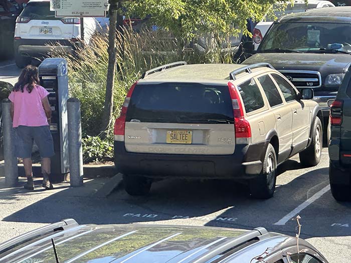 SALTEE vanity license plate