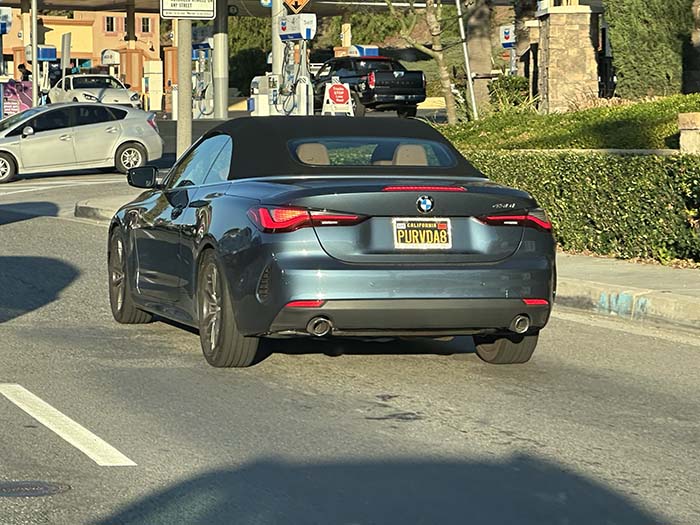 PURVDA8 vanity license plate meaning PURVDA8