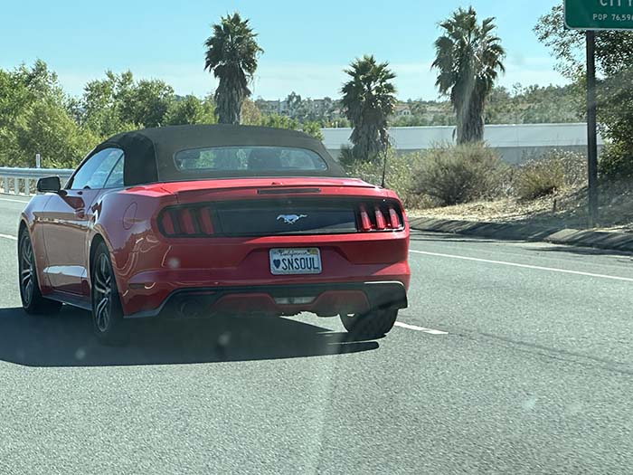 SNSOUL vanity license plate meaning Hearts And Soul