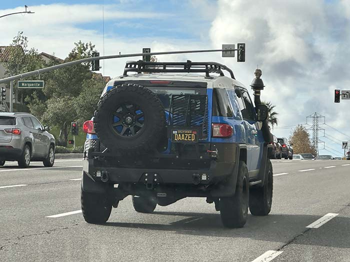 DAAZED vanity license plate