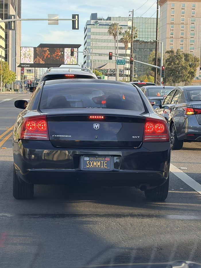 SXMMIE vanity license plate meaning Sammie