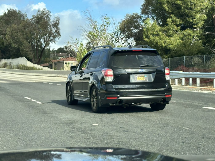 RANDI vanity license plate meaning Randi