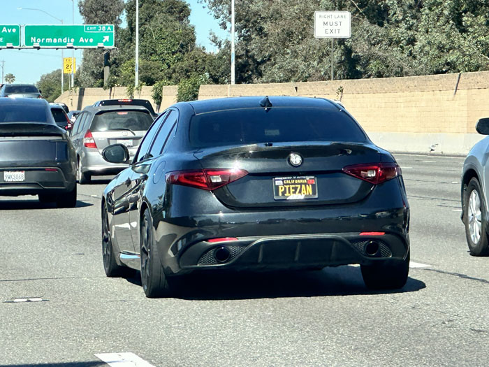 PIEZAN vanity license plate meaning Friend