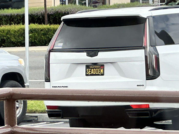 SEADIEM vanity license plate