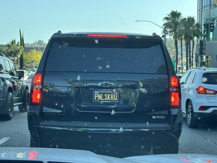 PNLSKRU vanity license plate