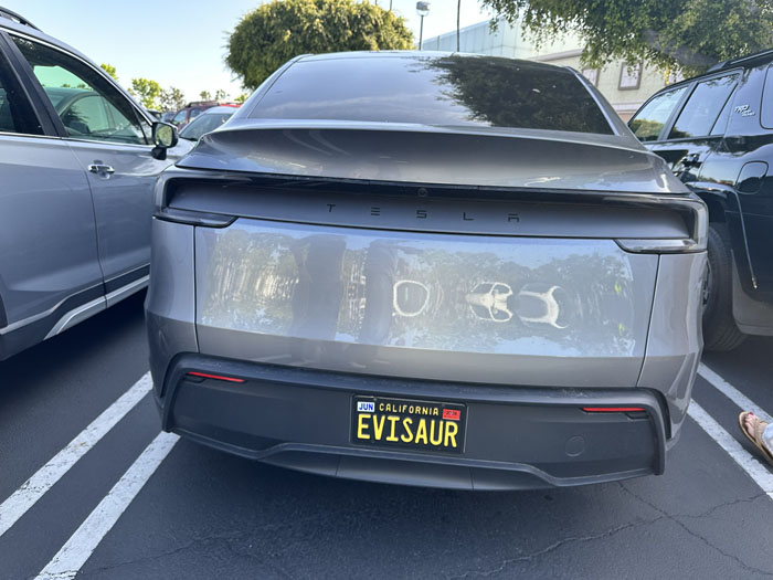 EVISAUR vanity license plate