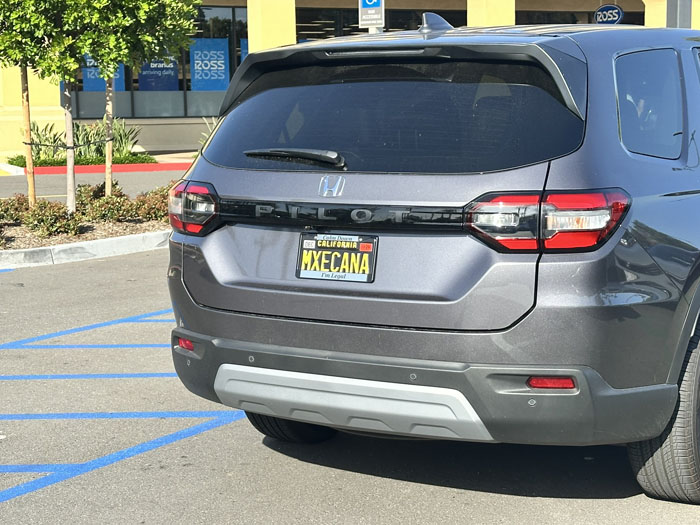 MXECANA vanity license plate meaning Mexicana