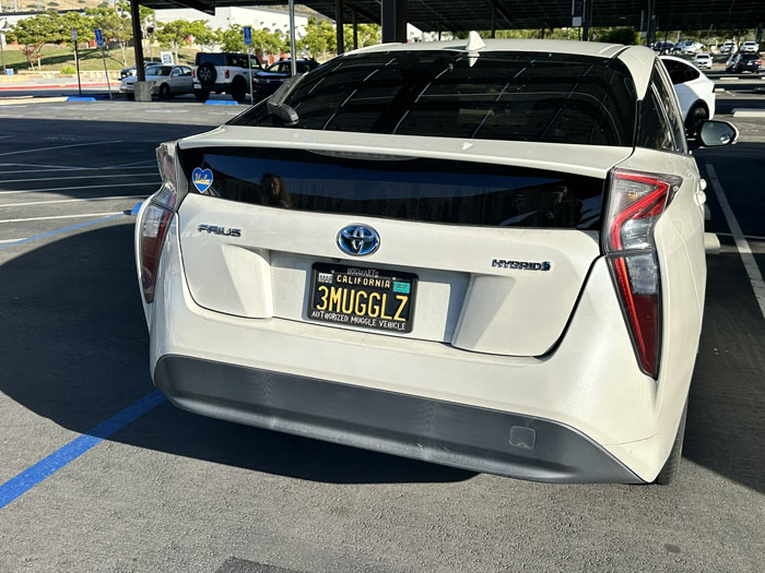 3MUGGLZ vanity license plate